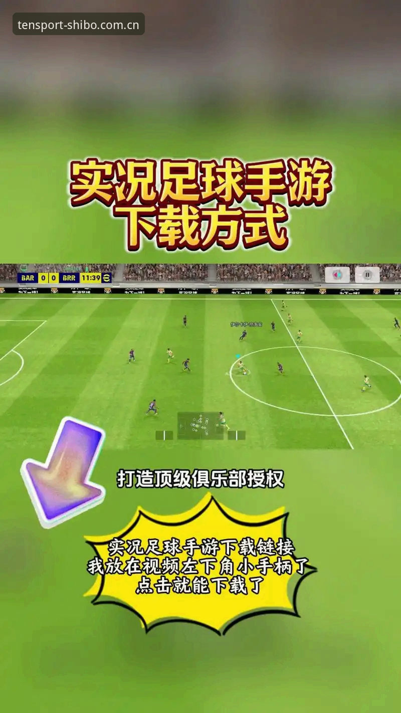 十博体育怎么下载最新版 官方版vs第三方版:十博体育怎么下载最新版最稳妥?