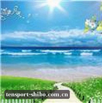 陈总